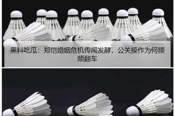 hei-liao-chi-gua-zheng-kai-hun-yin-wei-ji-chuan-wen-fa-jiao-gong-guan-cao-zuo-wei-he-pin-pin-fan-che-2-715.jpg